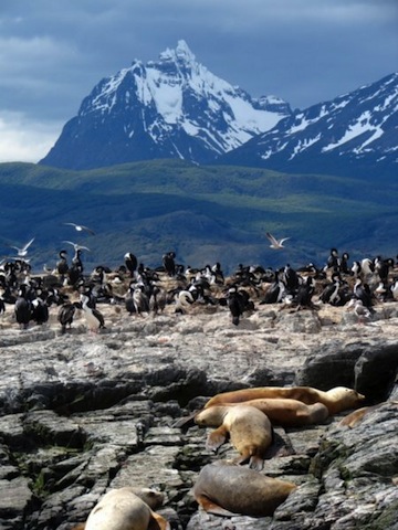 Tierra del Fuego - My home for 37 days